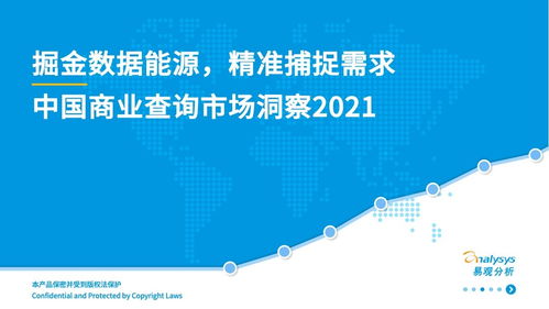 中國商業(yè)查詢市場 社會經(jīng)濟咨詢服務(wù)的機遇與前景