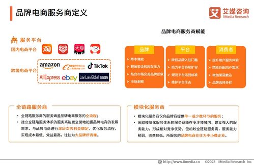 2023年中國品牌電商服務(wù)商行業(yè)研究報告——社會經(jīng)濟咨詢服務(wù)解析